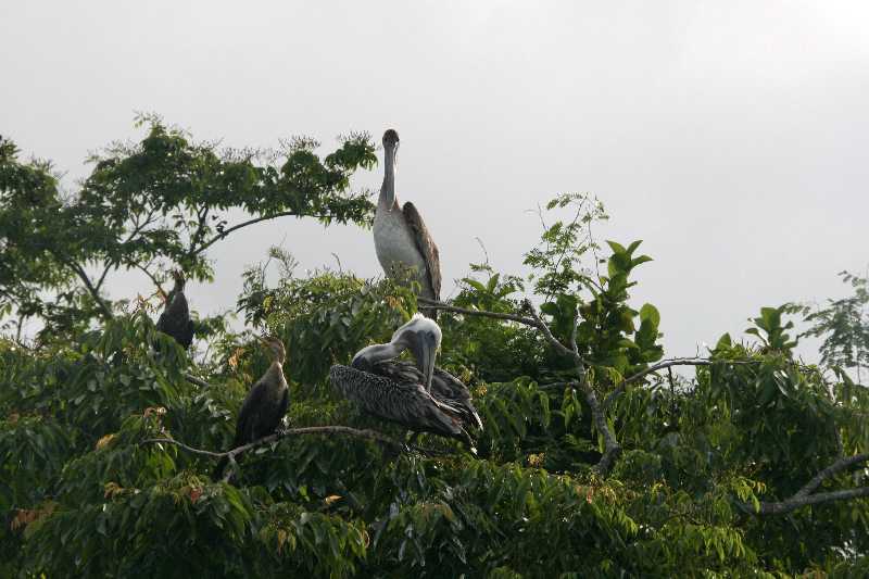 Mexico & Guatemala 2010 - 0939